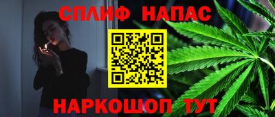 прущие крисы Новокубанск