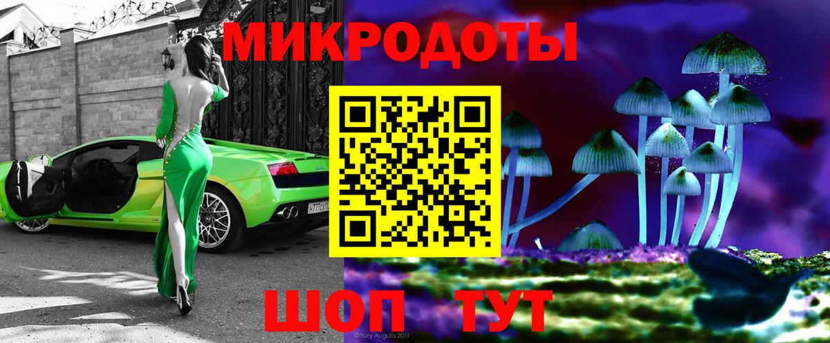 Галлюциногенные грибы Psilocybe  Вход с VPN  Соликамск 