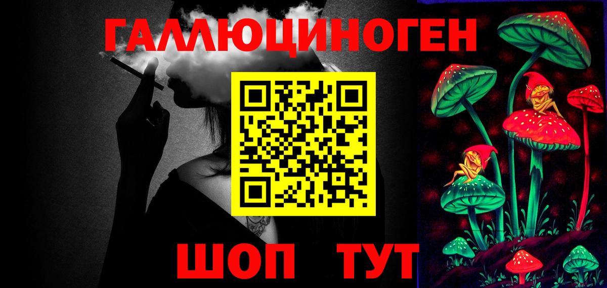 Псилоцибиновые грибы Psilocybe Соликамск